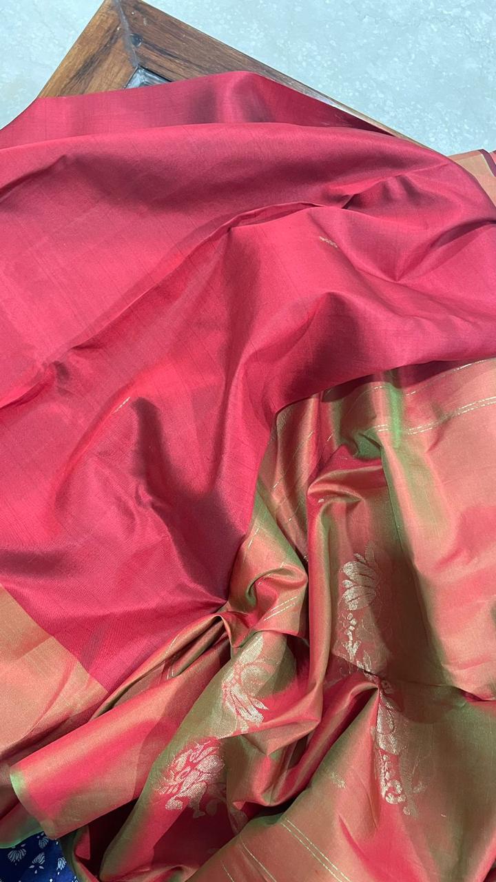 WhatsApp Image 2024-10-24 at 12.39.19 PM